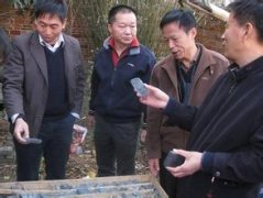 地矿局总工程师李怀乾—深山挖宝人