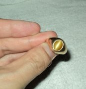 夫妻吵架赌气丢黄金婚戒，民警用金属探测器寻回