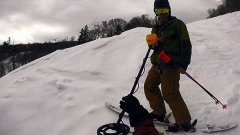 滑雪时弄掉iPhone怎么找？用金属探测器