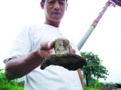 南京颜料坊突现大批文物考古专家到访