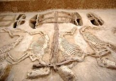 江西南昌胡某用探宝器找到汉代官墓