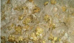 新疆刘某用赏金猎人金属探测器探的大量黄金