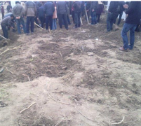 庄里元大头被外来人盗走