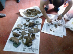 赵某在随州市一处工地渣土利用探宝器找到大量青铜