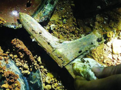 湖南长沙发现西汉贵族墓并挖出青铜兵器