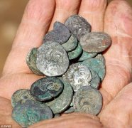 英寻宝猎人探测挖出价值1500万美元银币