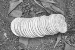 河南洛阳陈某使用金银探测仪器找到大量银元